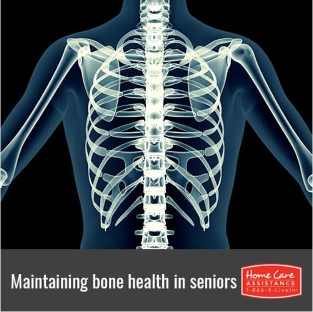 Bone Health in Seniors